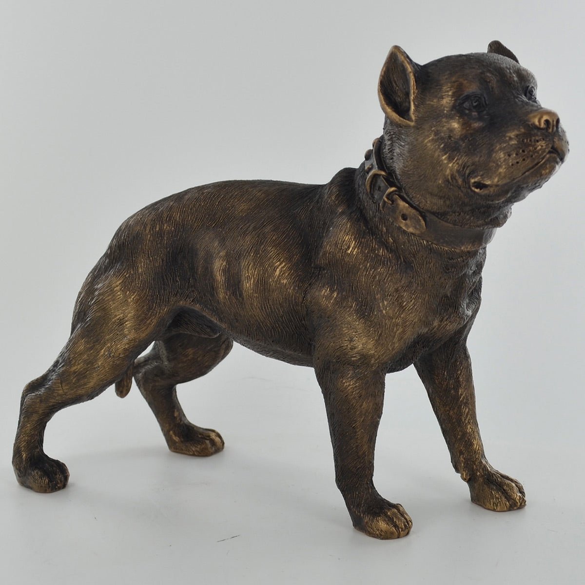 Pit Bull Terrier Dog Painted Bronze Resin Sculpture