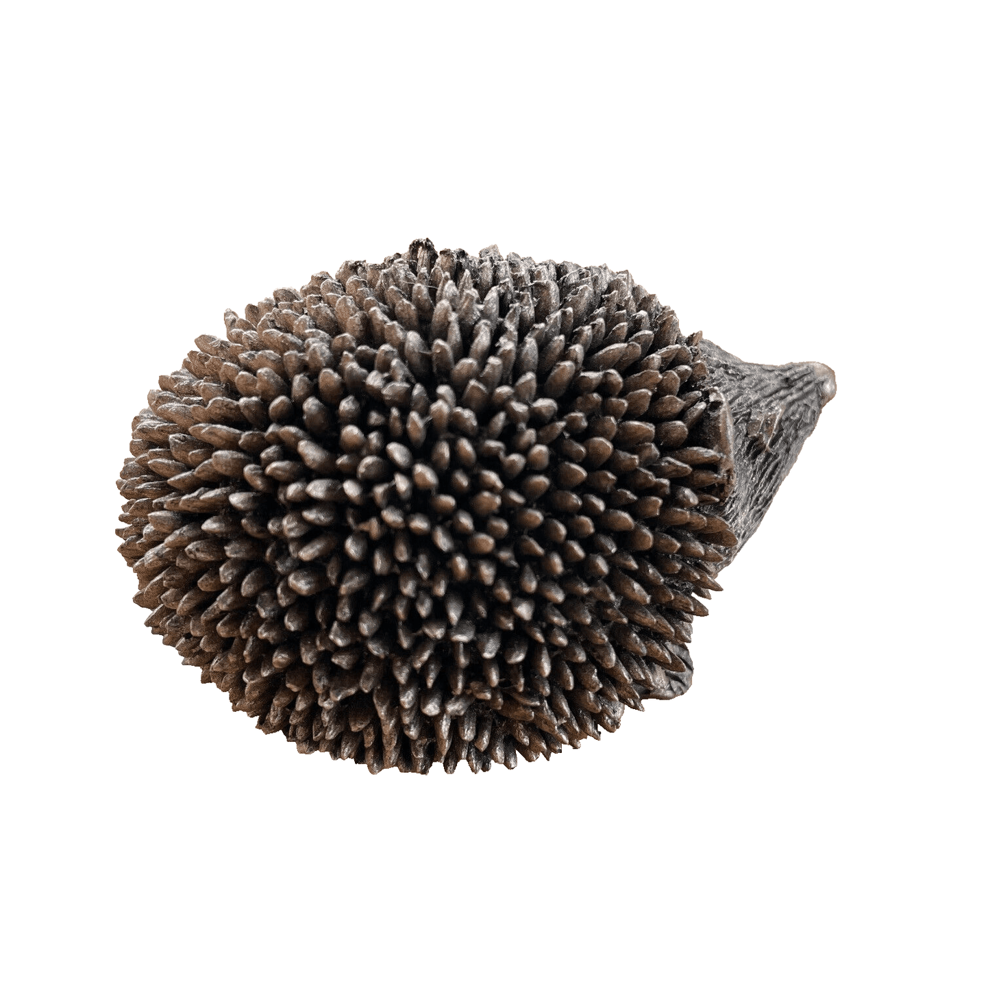 Frith - Prickly Baby Hoglet Hedgehog Sculpture By Thomas Meadows