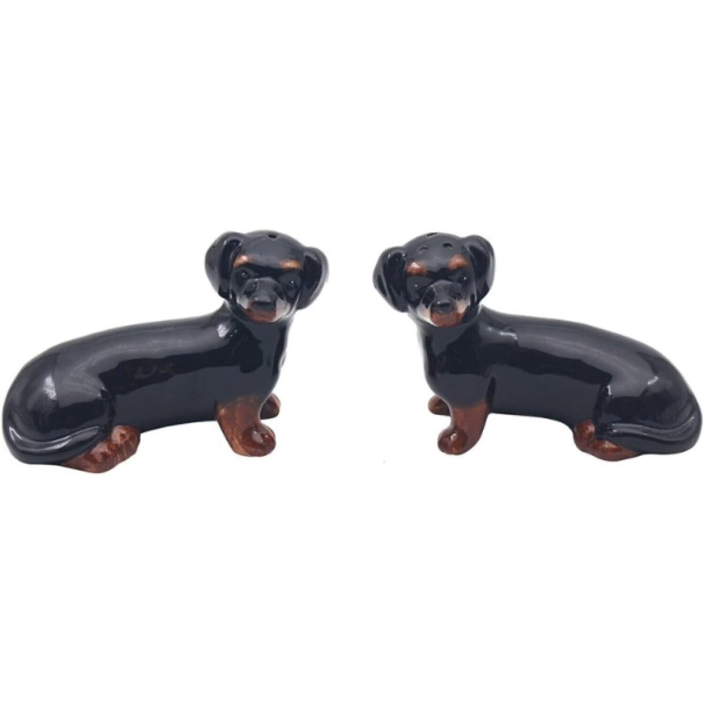 Dachshund Salt and Pepper Shakers Sausage Dog Cruet Set