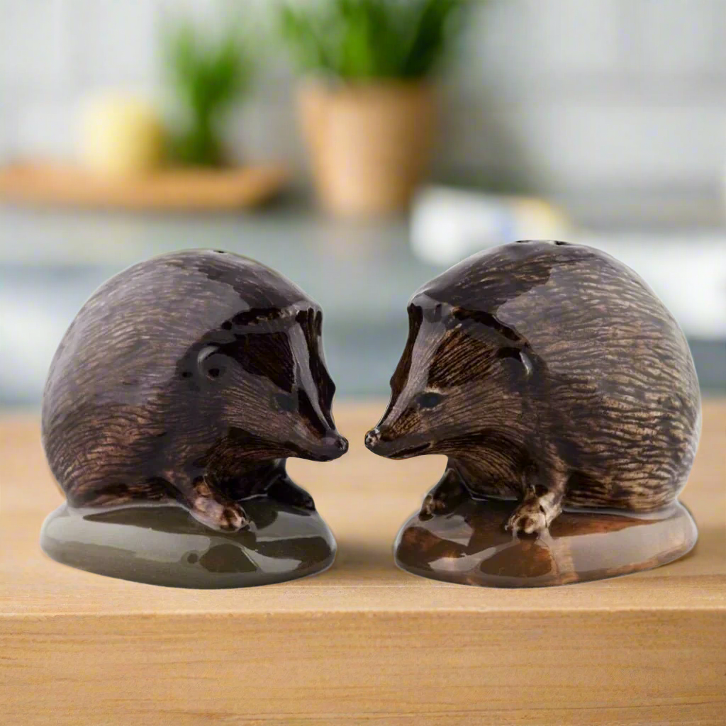 Hedgehog Salt & Pepper Shakers
