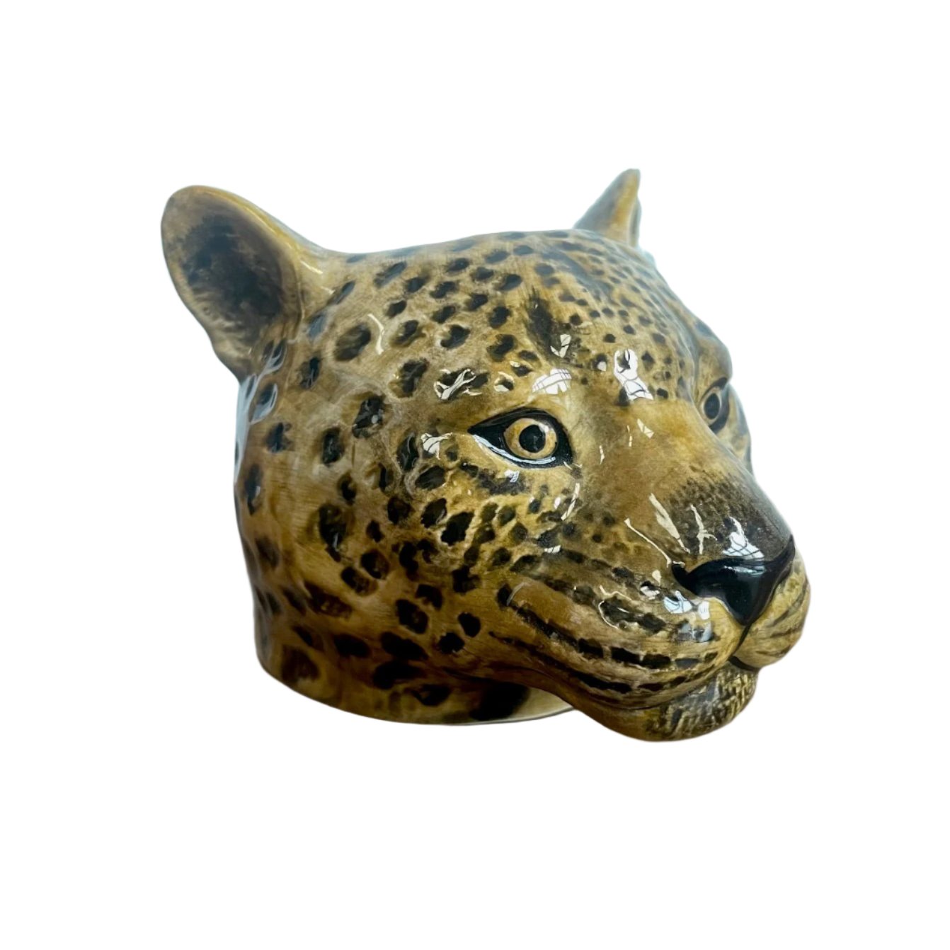 Leopard Face Egg Cup
