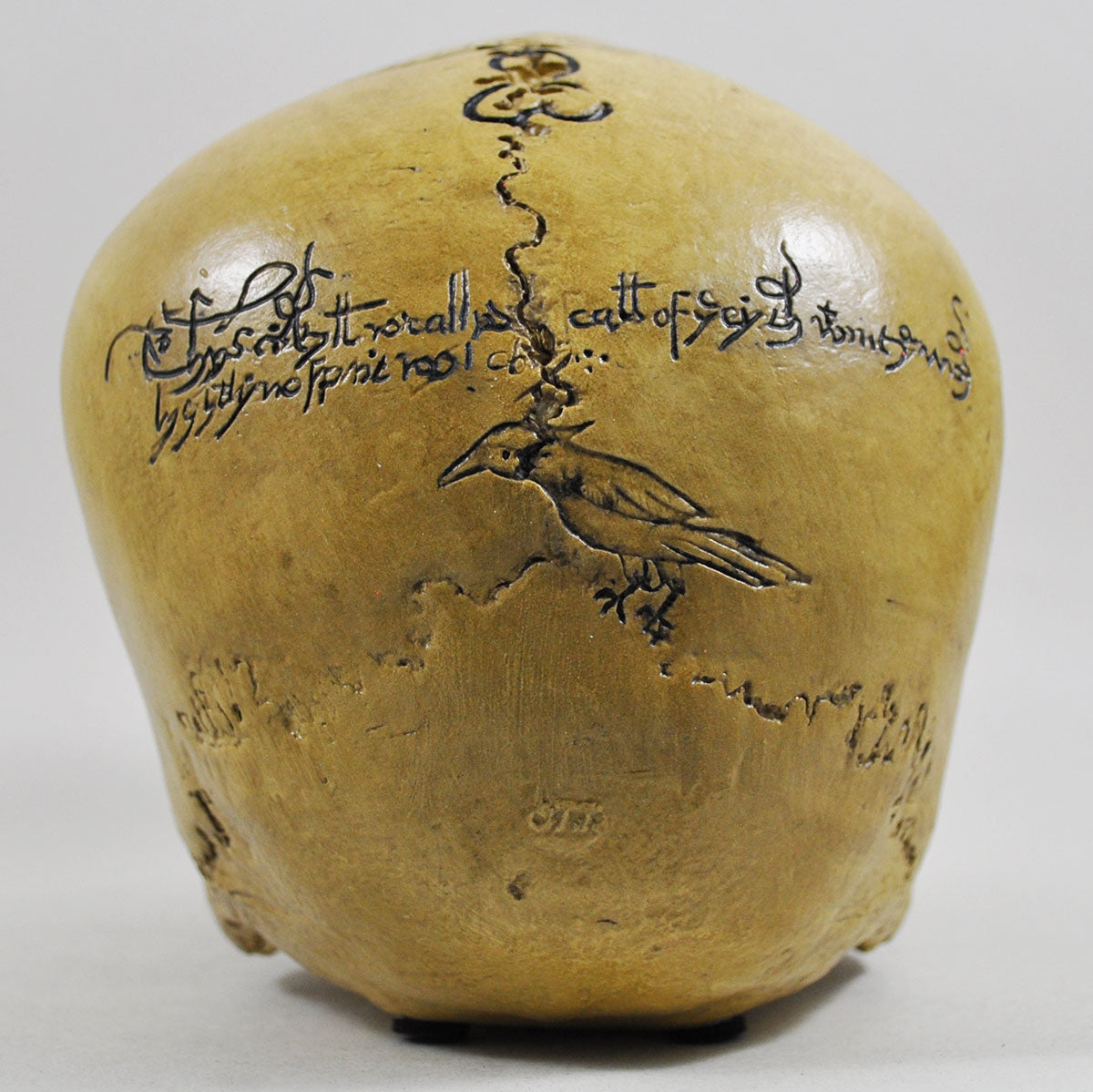 Skull Ornament With Black Witchcraft Symbols & Text Decoration