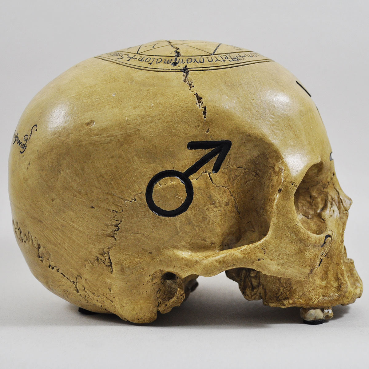 Skull Ornament With Black Witchcraft Symbols & Text Decoration