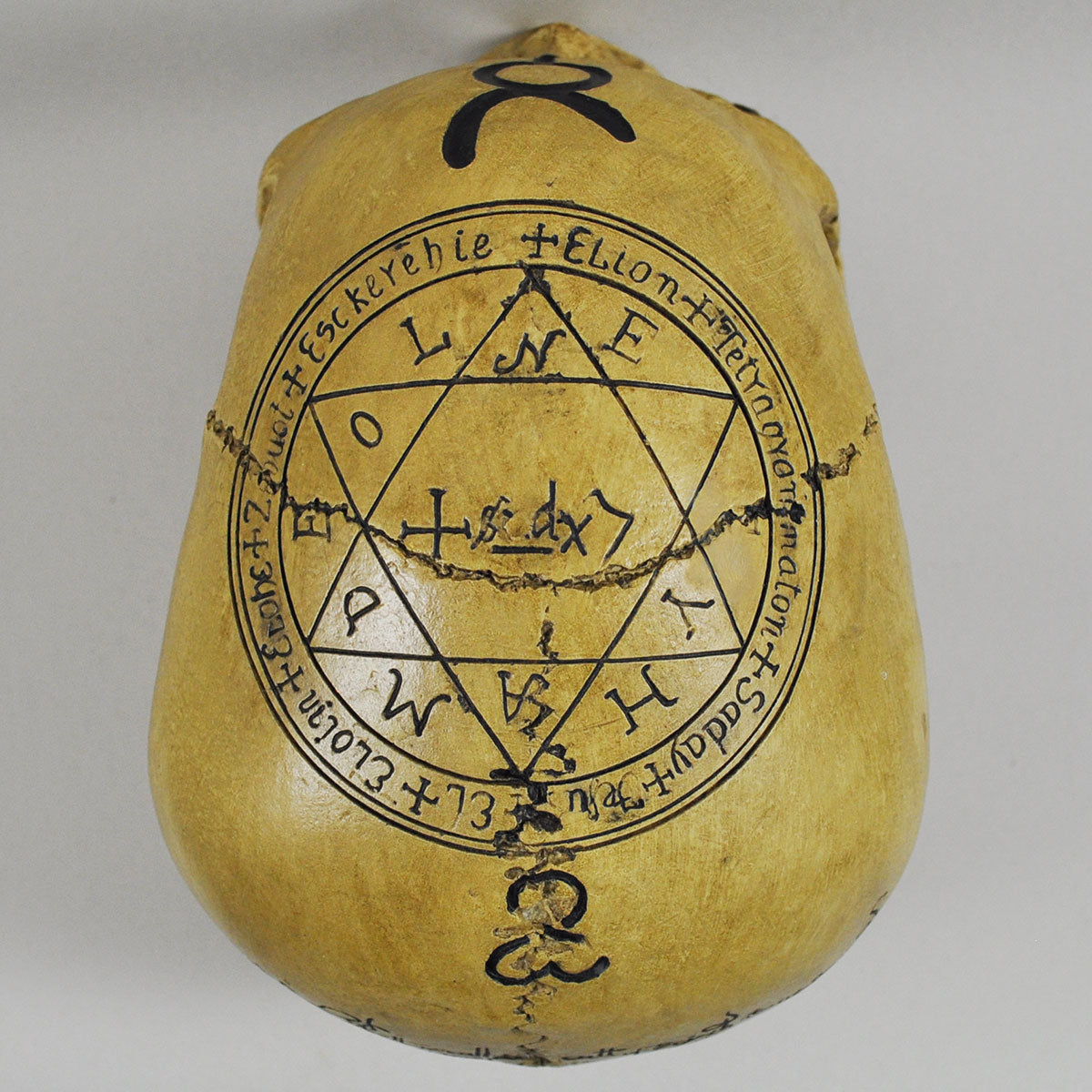 Skull Ornament With Black Witchcraft Symbols & Text Decoration