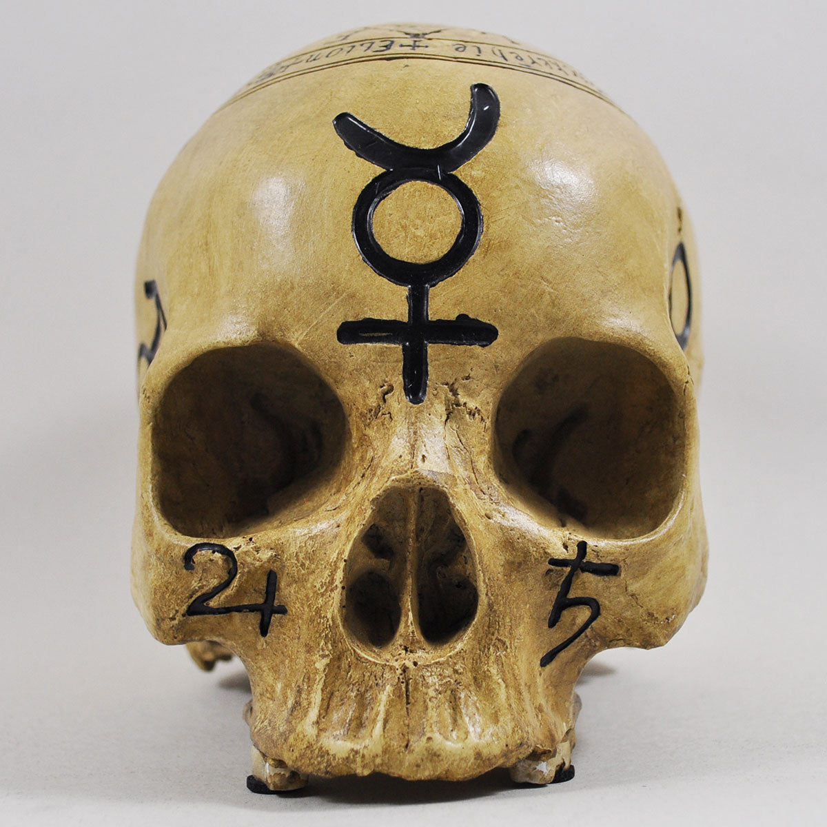 Skull Ornament With Black Witchcraft Symbols & Text Decoration