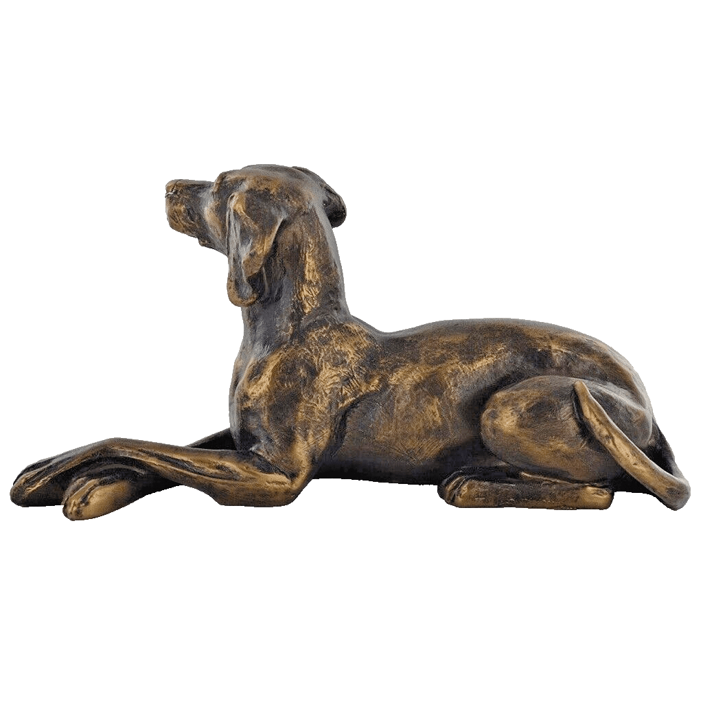 Weimaraner Dog Figure Bronze Effect By Harriet Glen