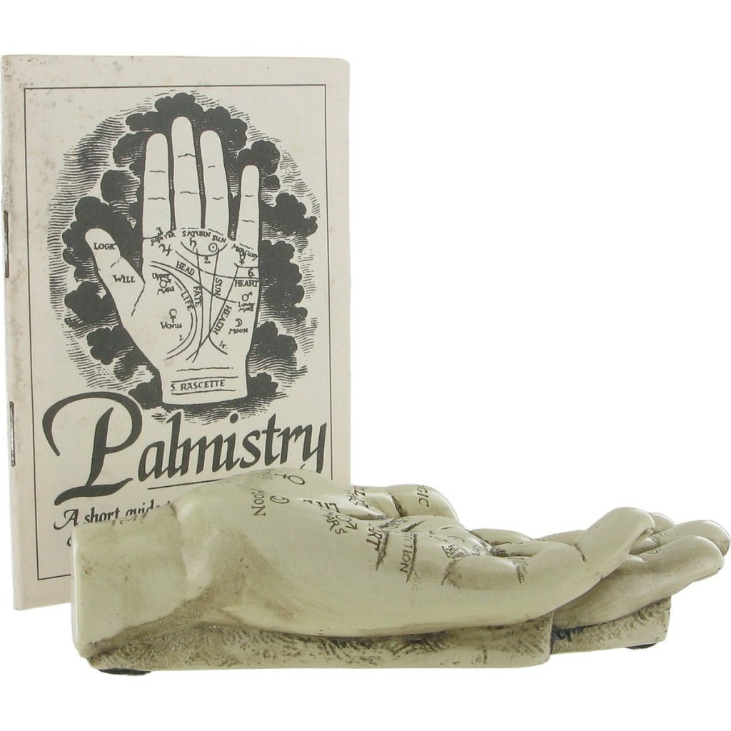 Palmistry Hand Ornament With Reading Instruction Booklet 12 cm