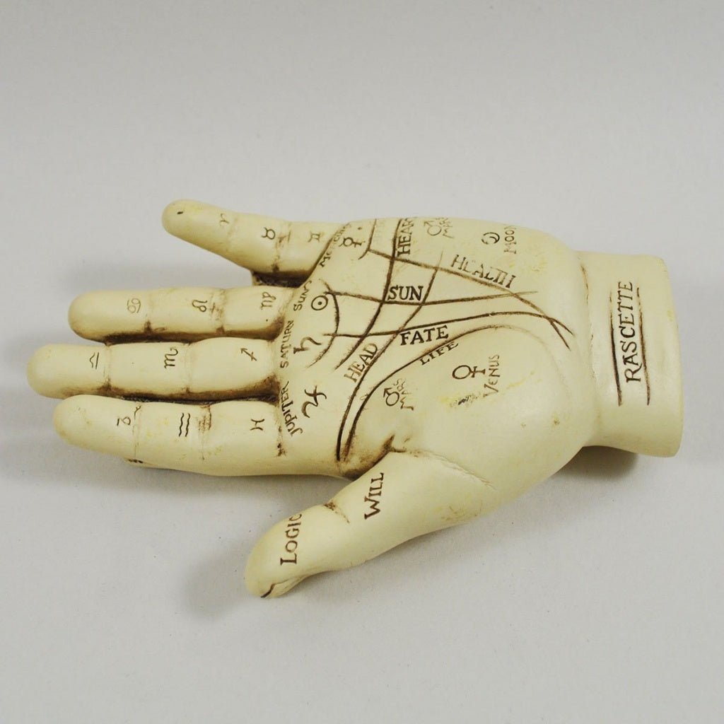 Palmistry Hand Ornament With Reading Instruction Booklet 12 cm