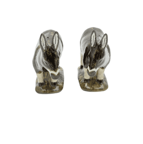 Brown Donkey Salt and Pepper Shakers