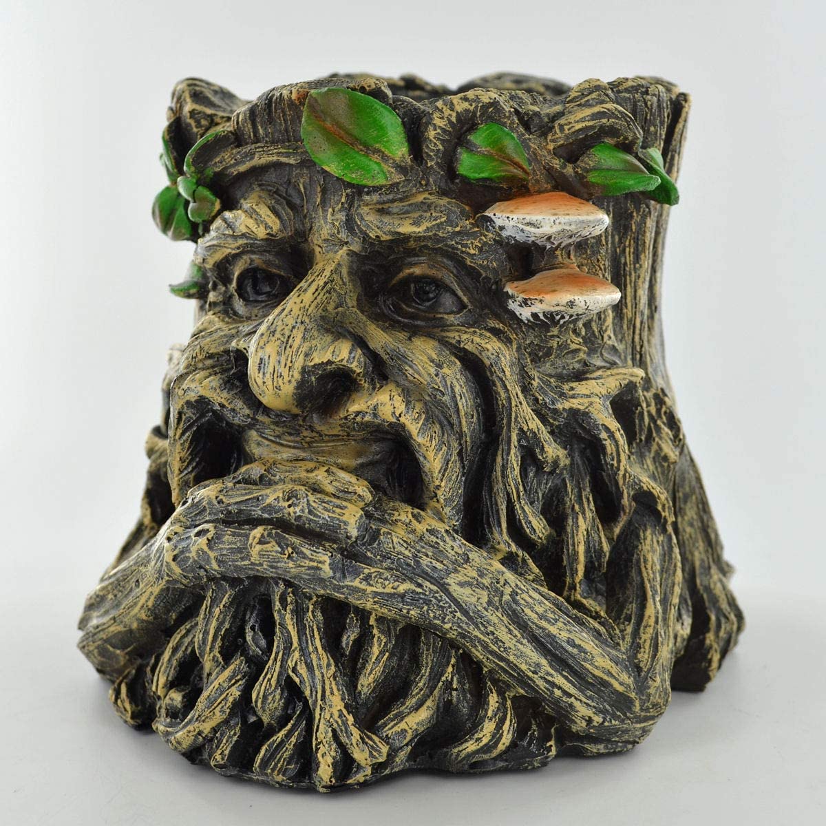 Tree Ent Face Plant Pot Holder Holding Beard Decorative Planter