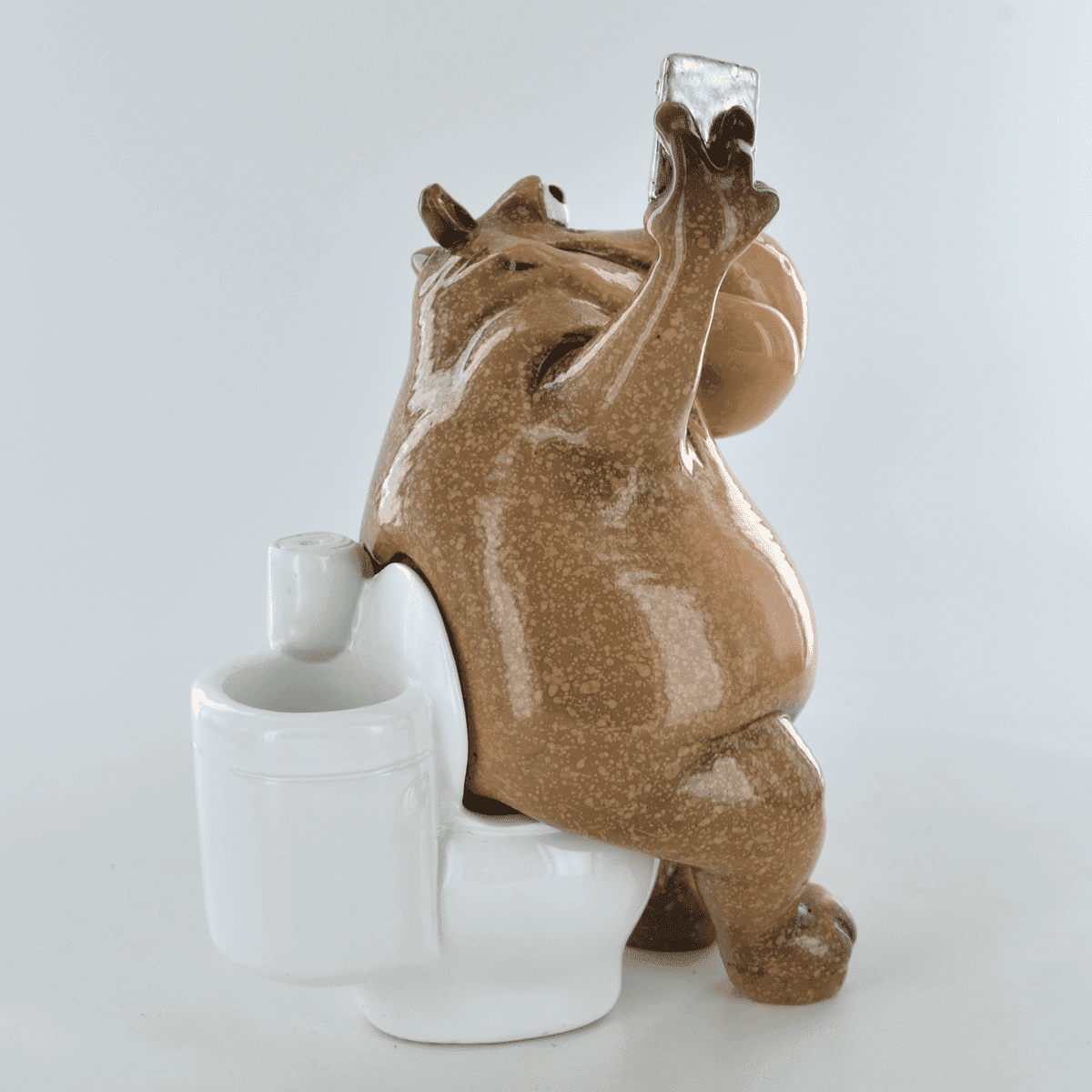 Comical Hippo on the Toilet Taking Selfie