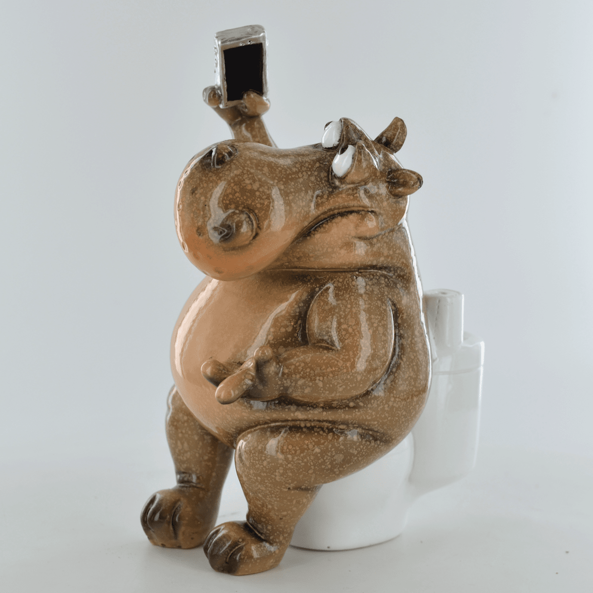 Comical Hippo on the Toilet Taking Selfie