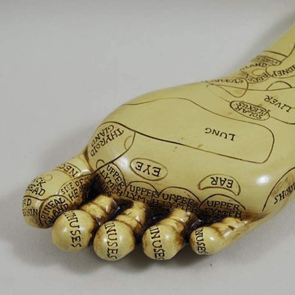 Reflexology Feet Set Acupressure Ornament