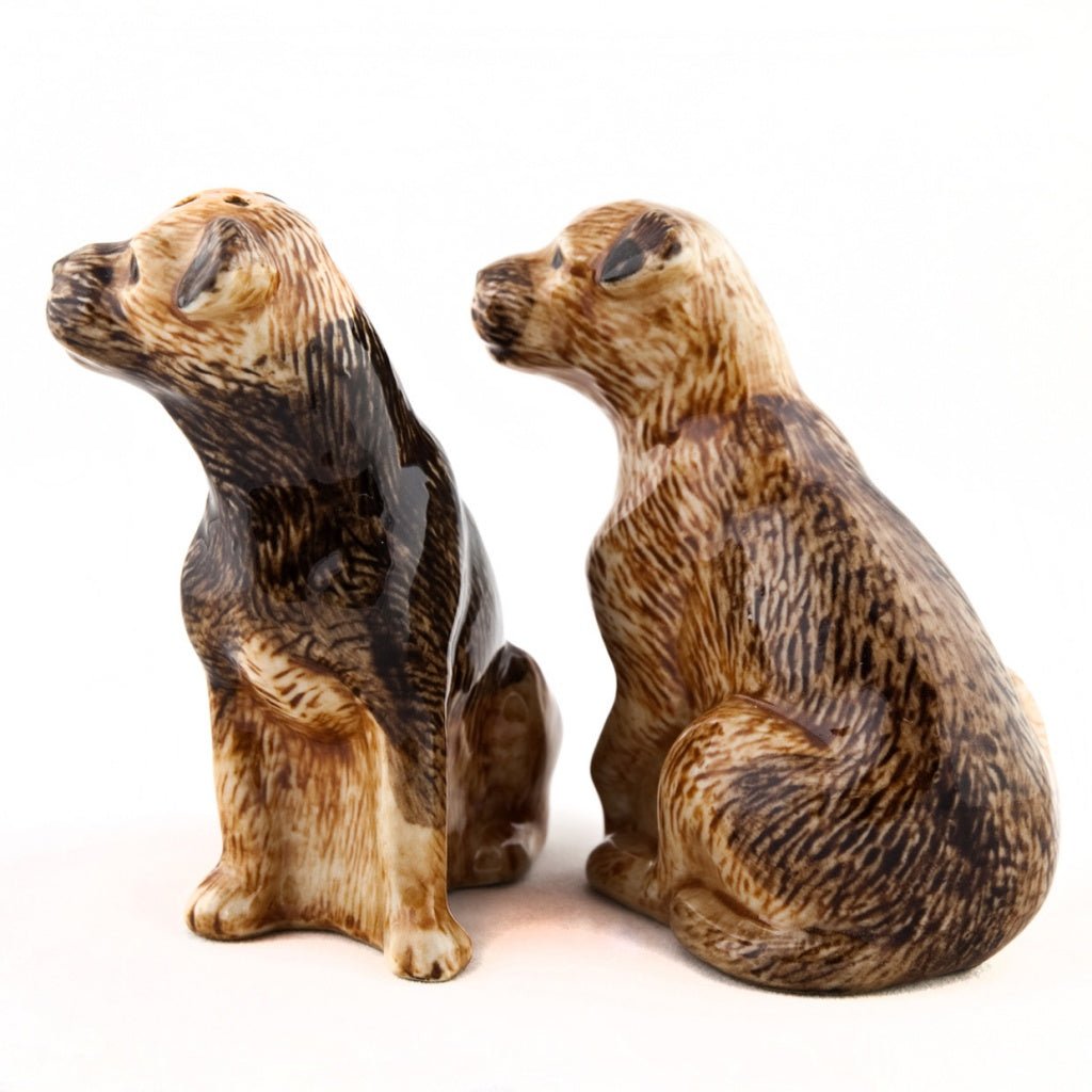 Border Terrier Salt & Pepper Shakers