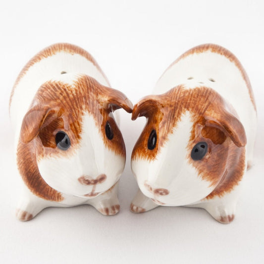 Guinea Pig Dutch Salt & Pepper Shakers