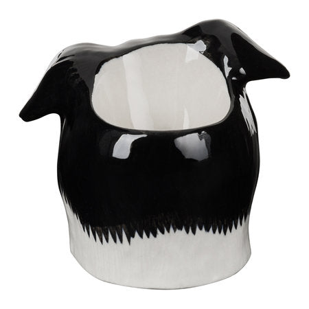 Border Collie Face Egg Cup