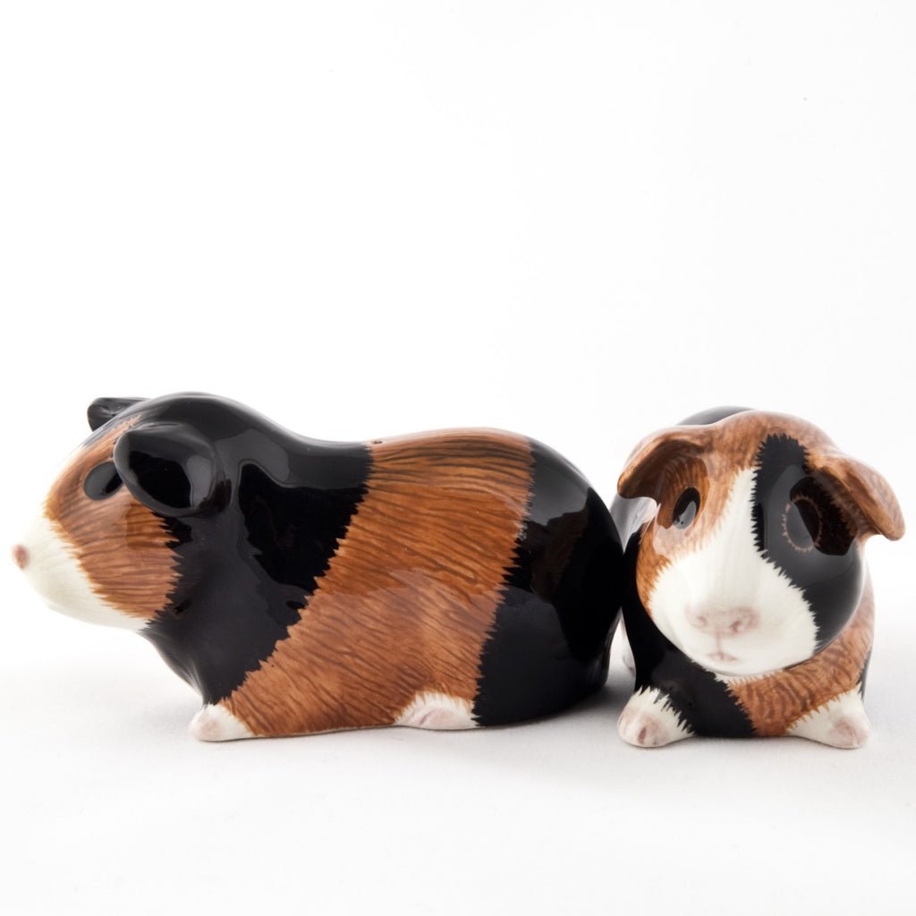 Guinea Pig Multicoloured Salt & Pepper Shakers - Present Days