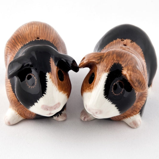 Guinea Pig Multicoloured Salt & Pepper Shakers