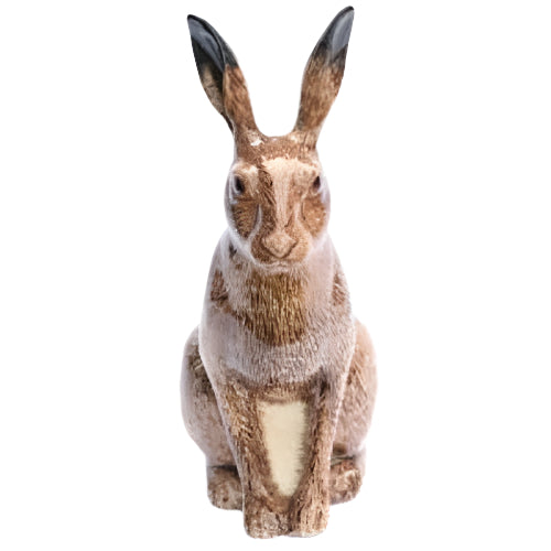 Hare Money Box - Present Days