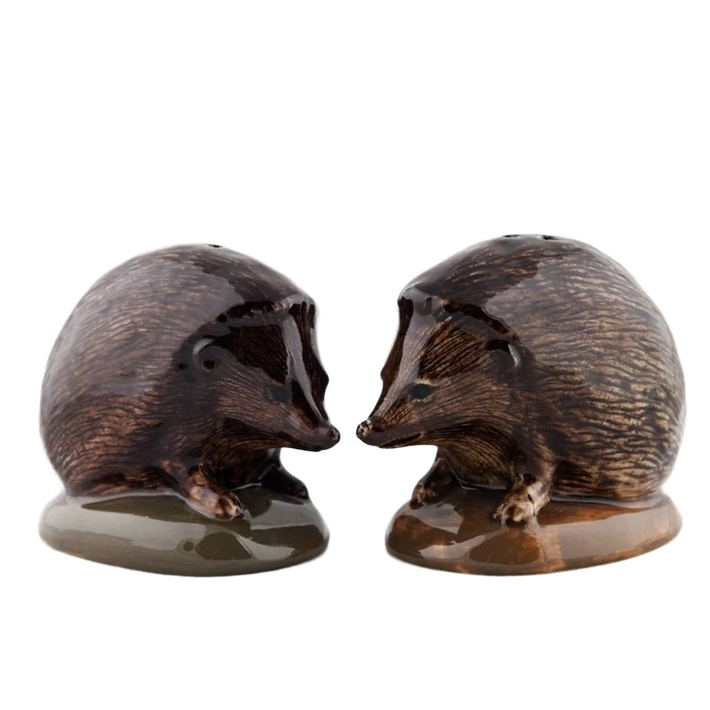 Hedgehog Salt & Pepper Shakers