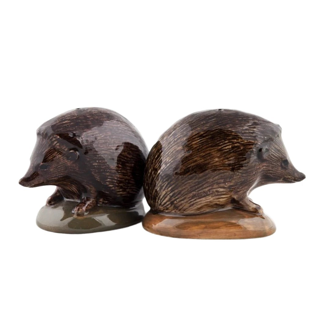 Hedgehog Salt & Pepper Shakers