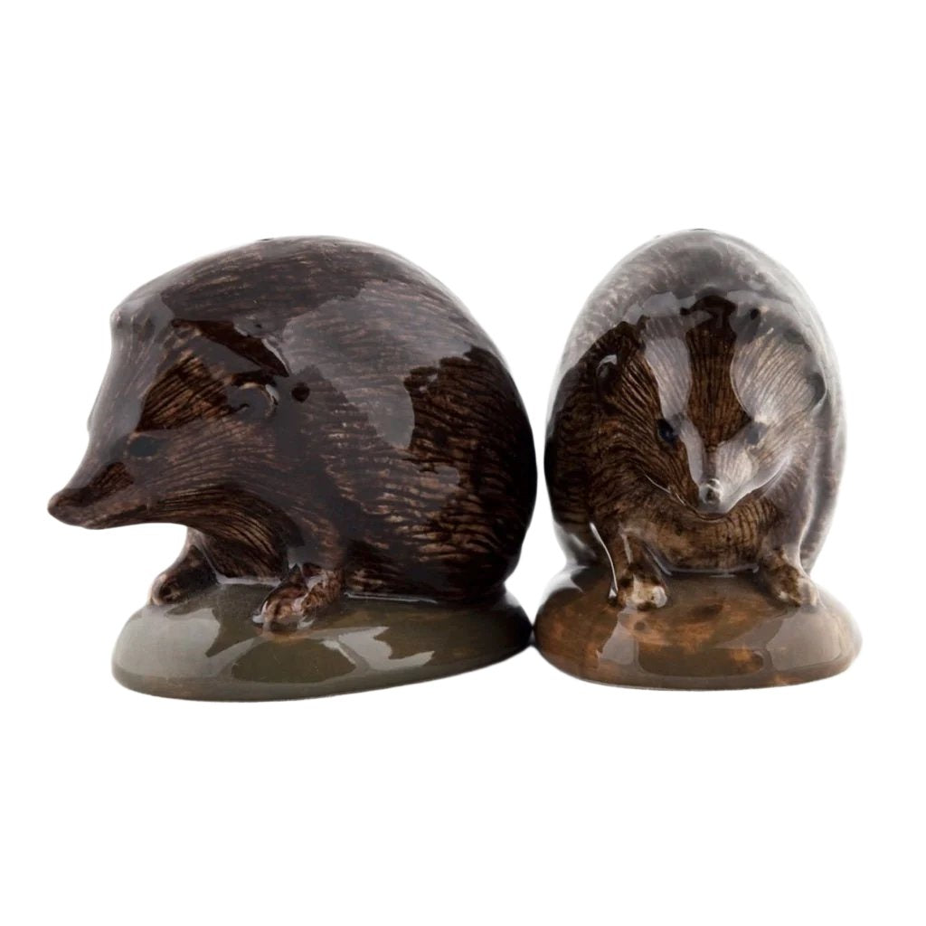 Hedgehog Salt & Pepper Shakers