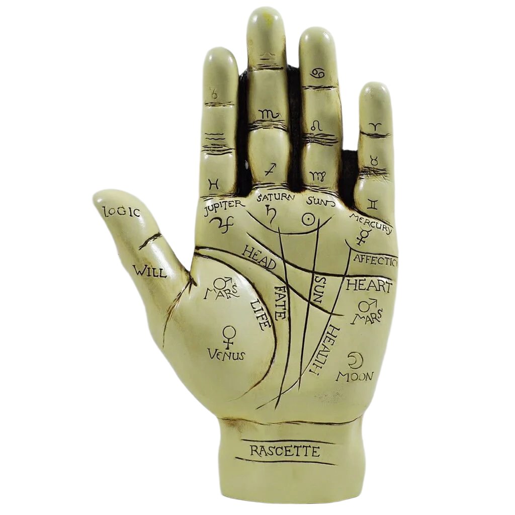 Palmistry Hand Ornament With Reading Instruction Booklet 19cm