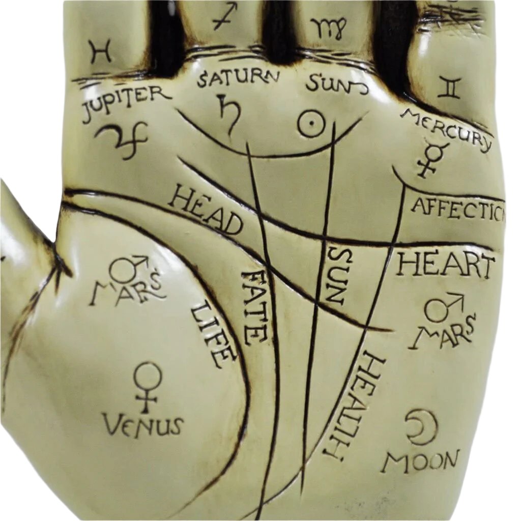 Palmistry Hand Ornament With Reading Instruction Booklet 19cm
