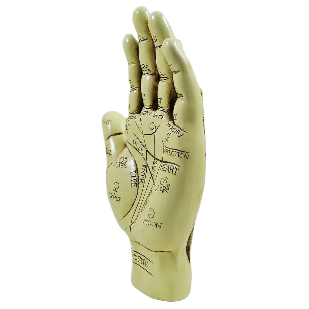 Palmistry Hand Ornament With Reading Instruction Booklet 19cm