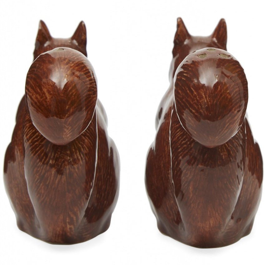 Red Squirrel Salt & Pepper Shakers
