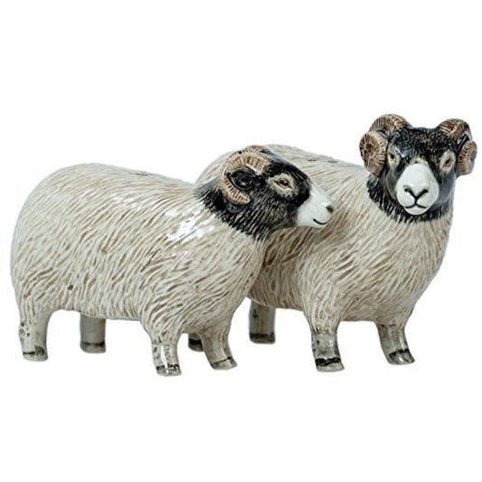 Swaledale Sheep Salt & Pepper Shakers