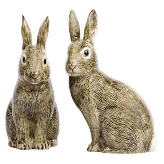 Wild Rabbit Salt & Pepper Shakers