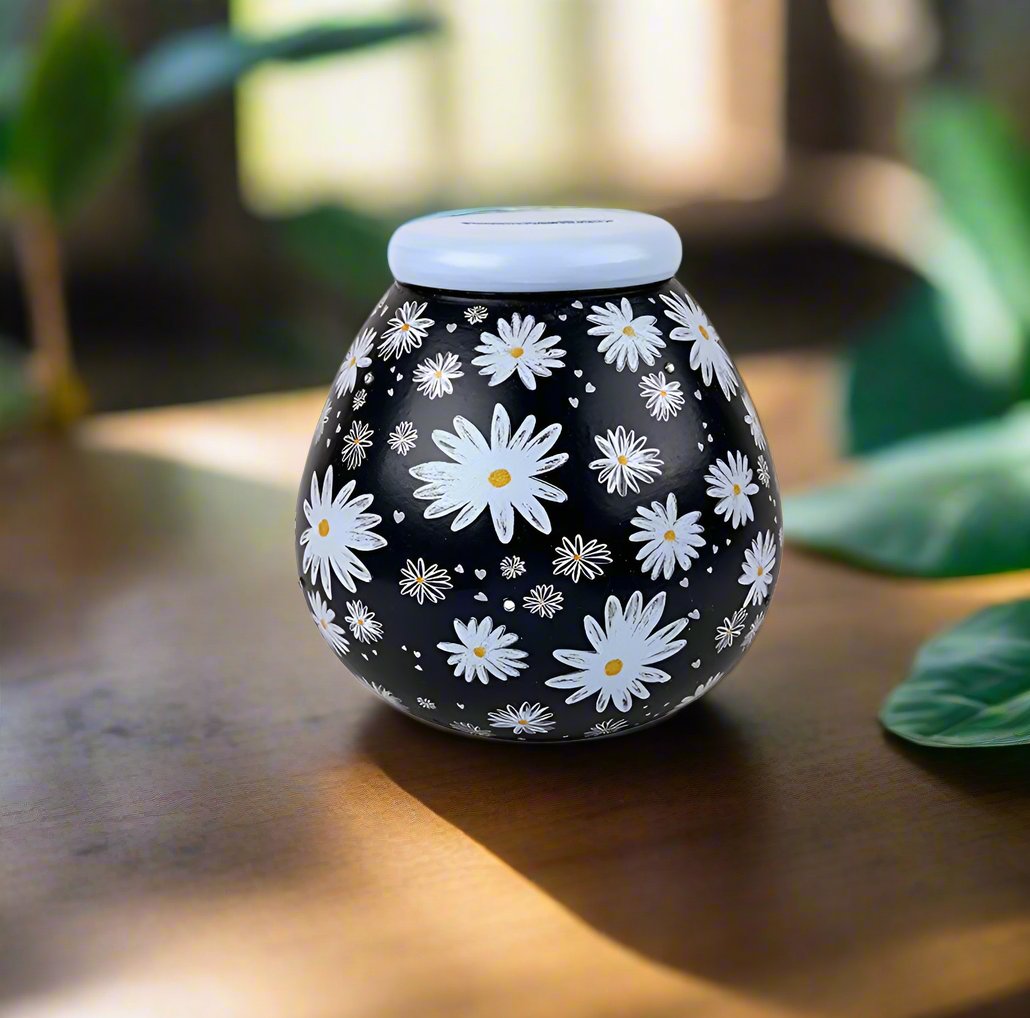 Pot Of Dreams Daisy Flower Pattern Money Pot Smash To Open