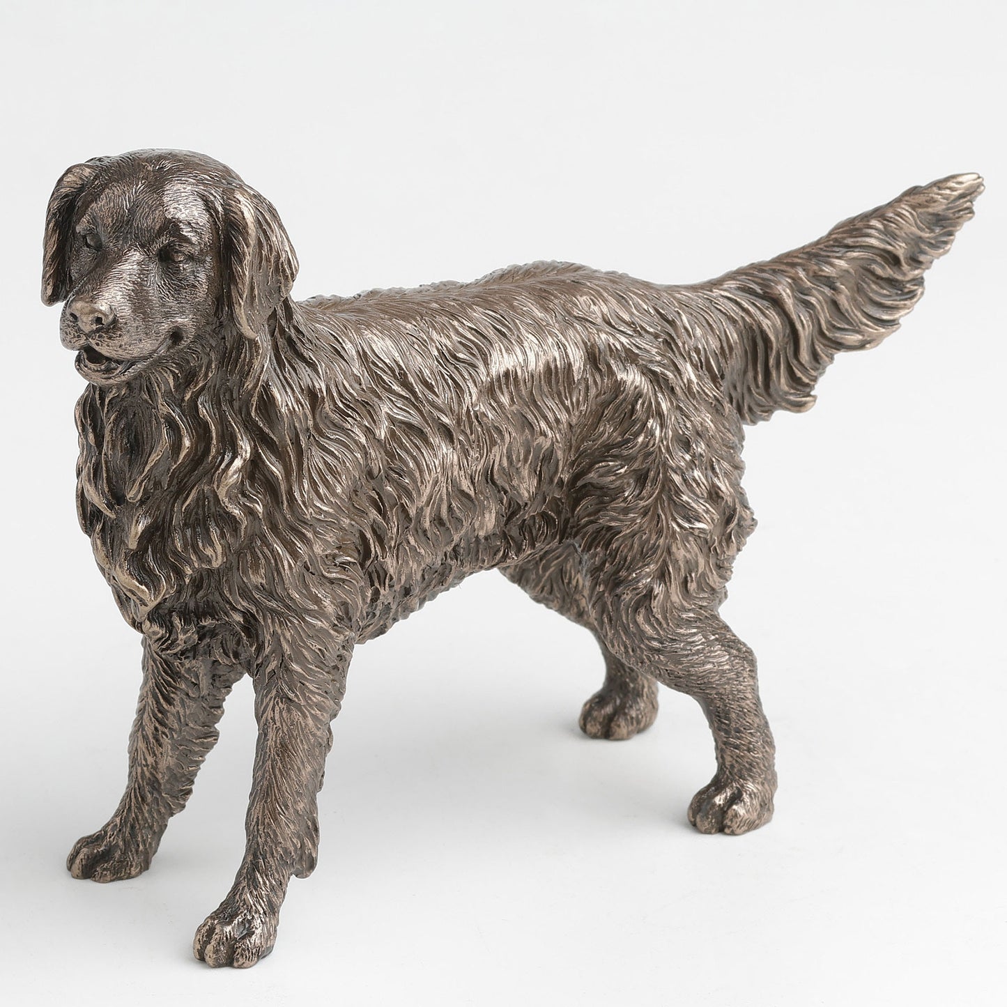 Bronze statue of a dog on a white background