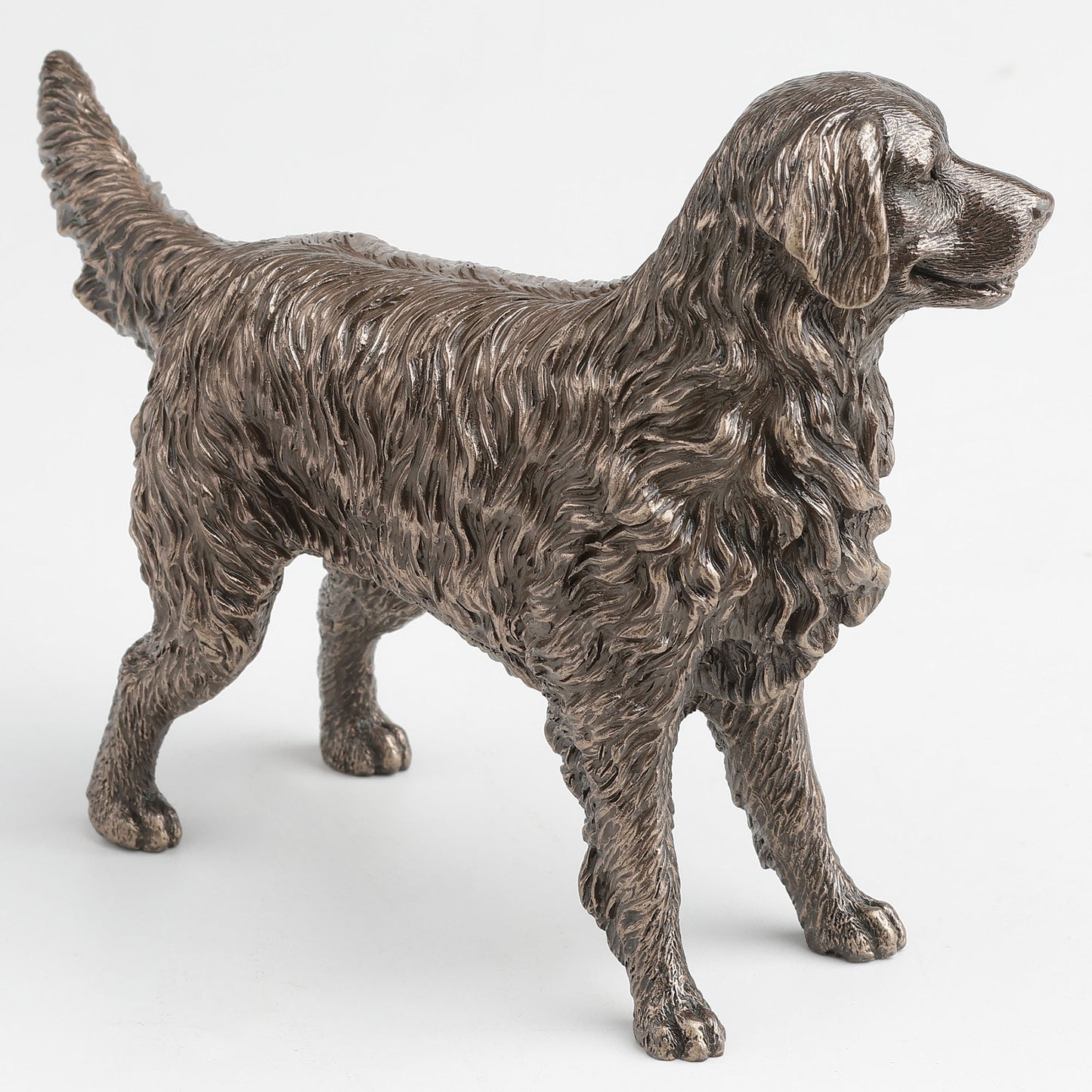 Bronze statue of a dog on a white background