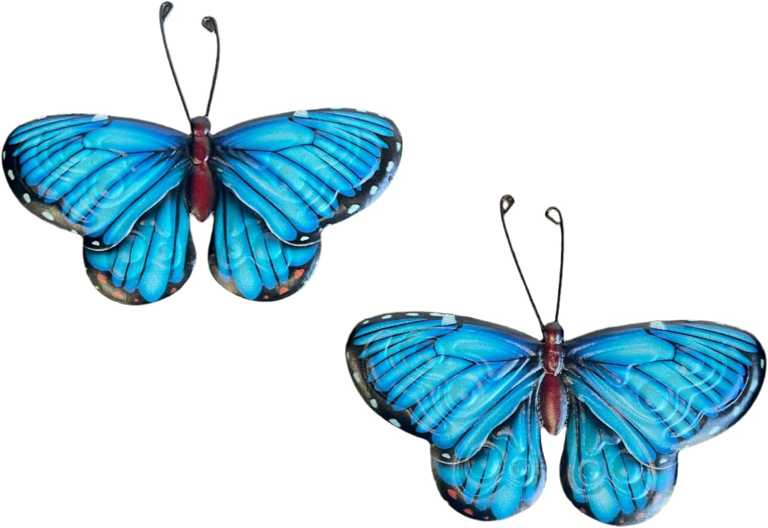 Two blue butterflies on a white background