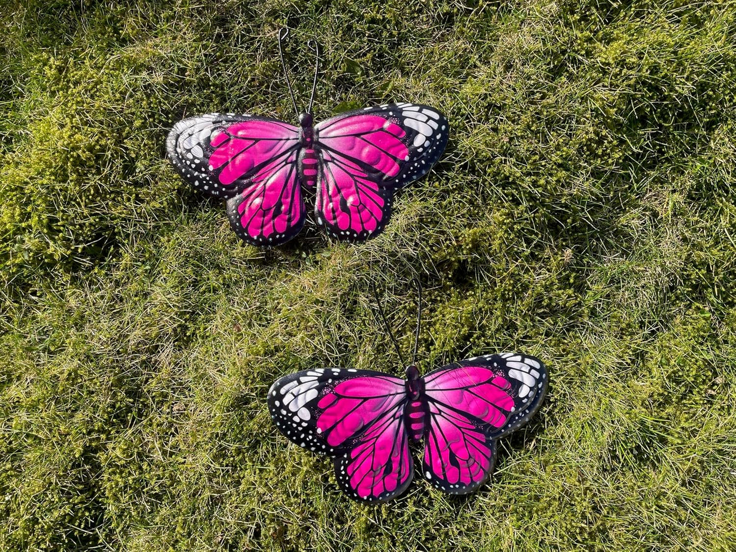 Two pink butterflies with black and white wings on a grassy background