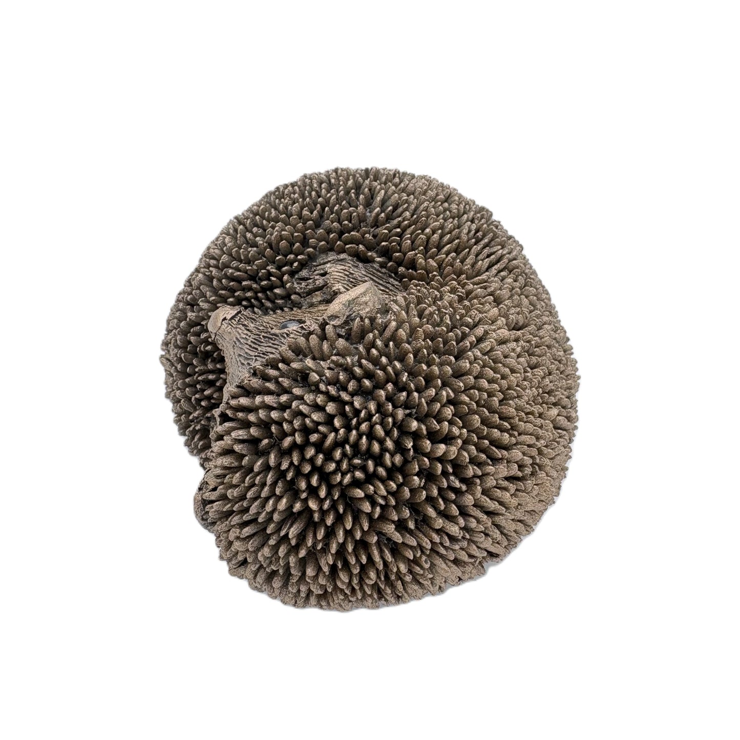 Frith - Spike, Resting Hedgehog Sculpture By Thomas Meadows