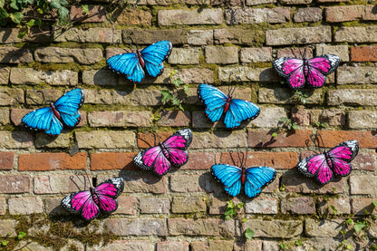 Butterflies X 8 Outdoor Metal Butterfly Garden Wall Art Decoration Blue & Pink