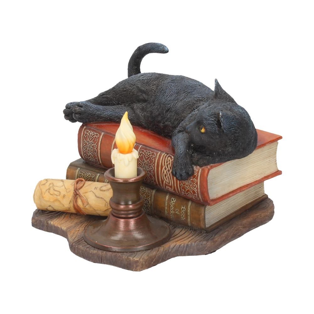 The Witching Hour Cat Figure By Lisa Parker For Nemesis Now Black Cat On Books