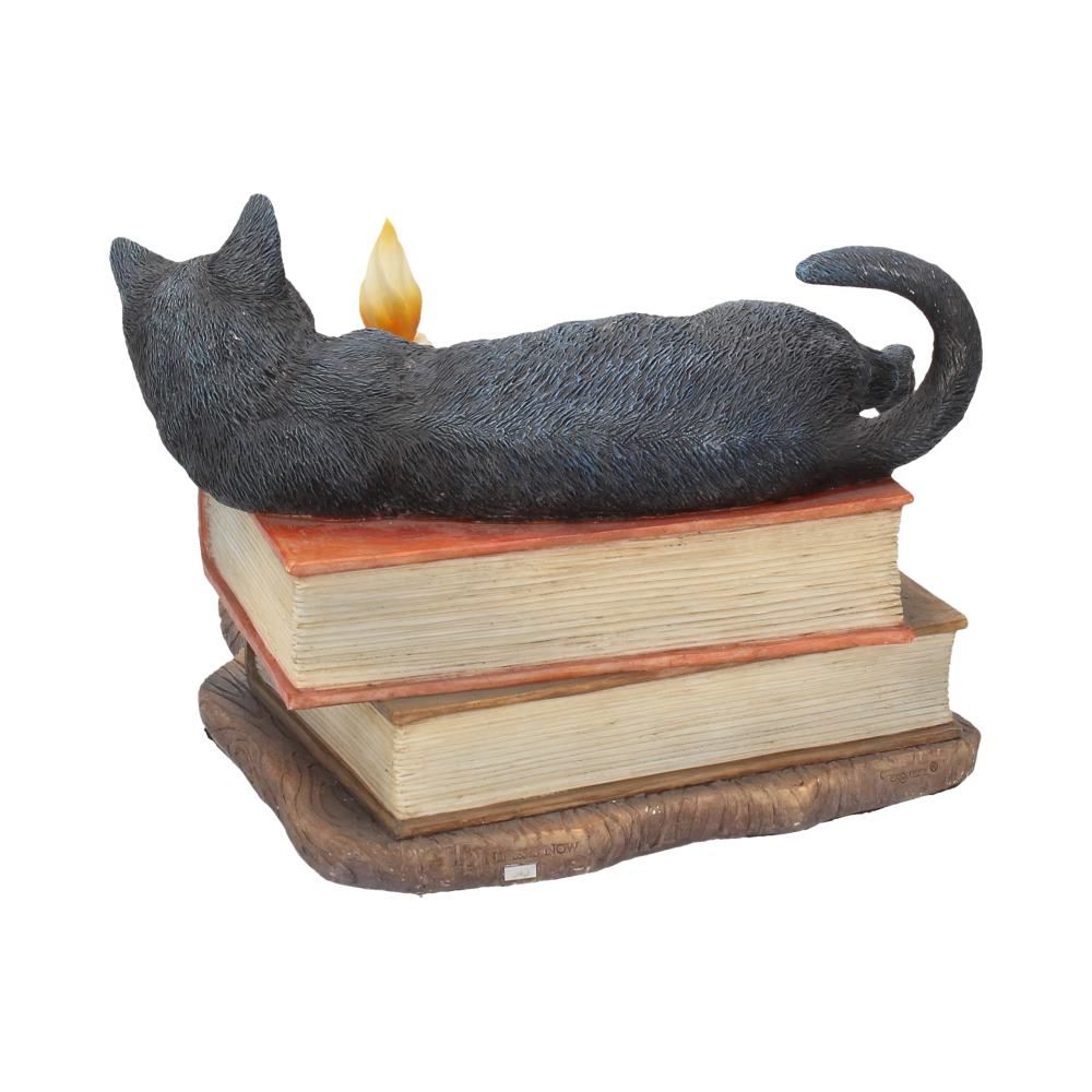 The Witching Hour Cat Figure By Lisa Parker For Nemesis Now Black Cat On Books