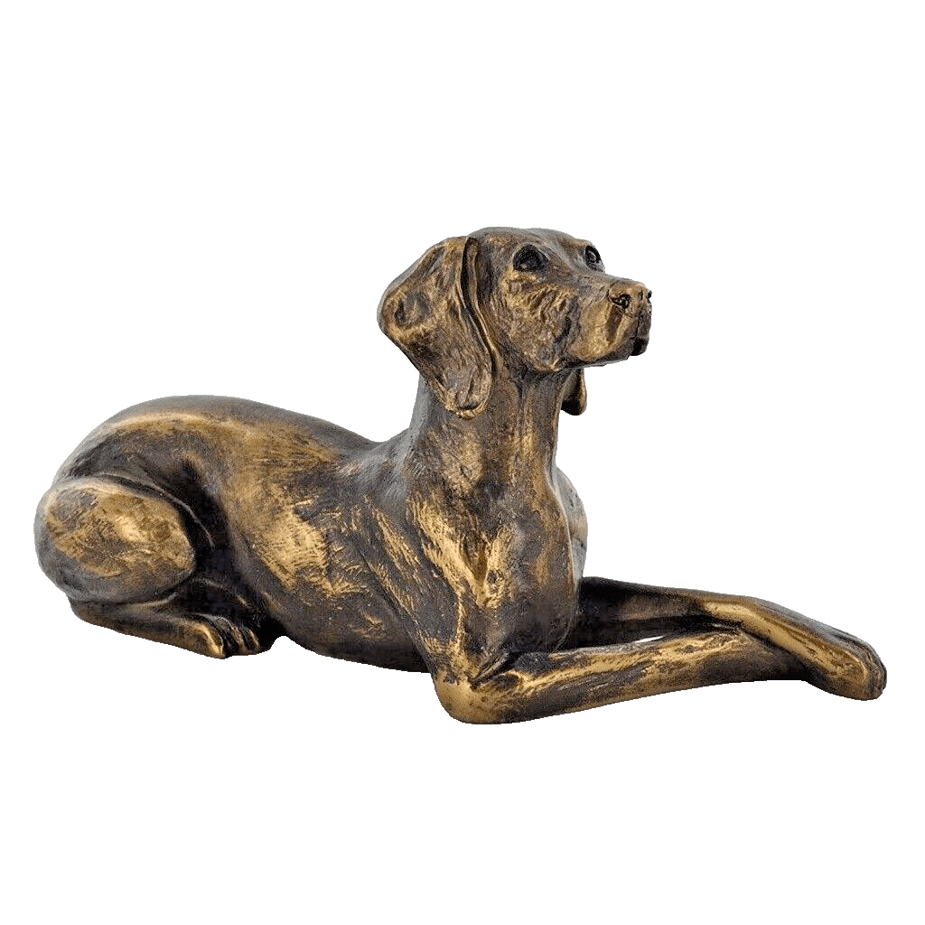 Weimaraner Dog Figure Bronze Effect By Harriet Glen
