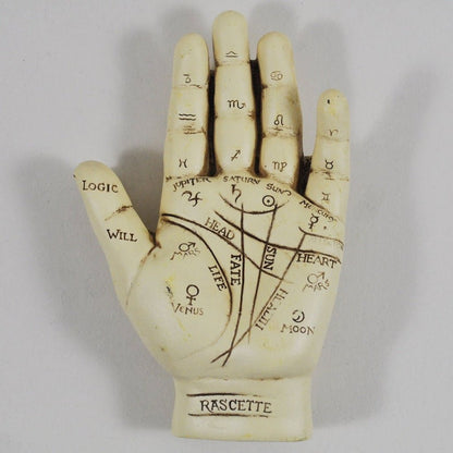 Palmistry Hand Ornament With Reading Instruction Booklet 12 cm