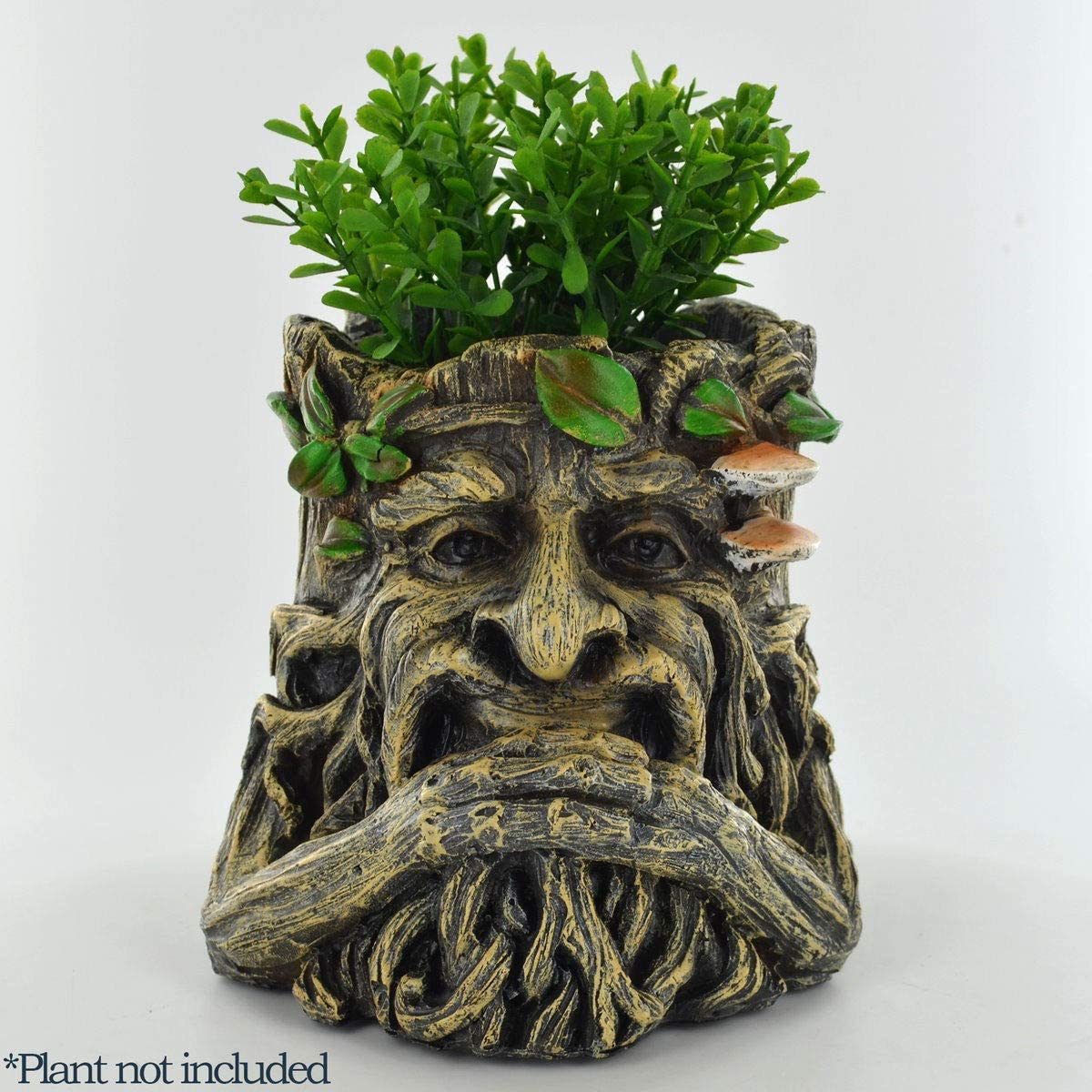 Tree Ent Face Plant Pot Holder Holding Beard Decorative Planter