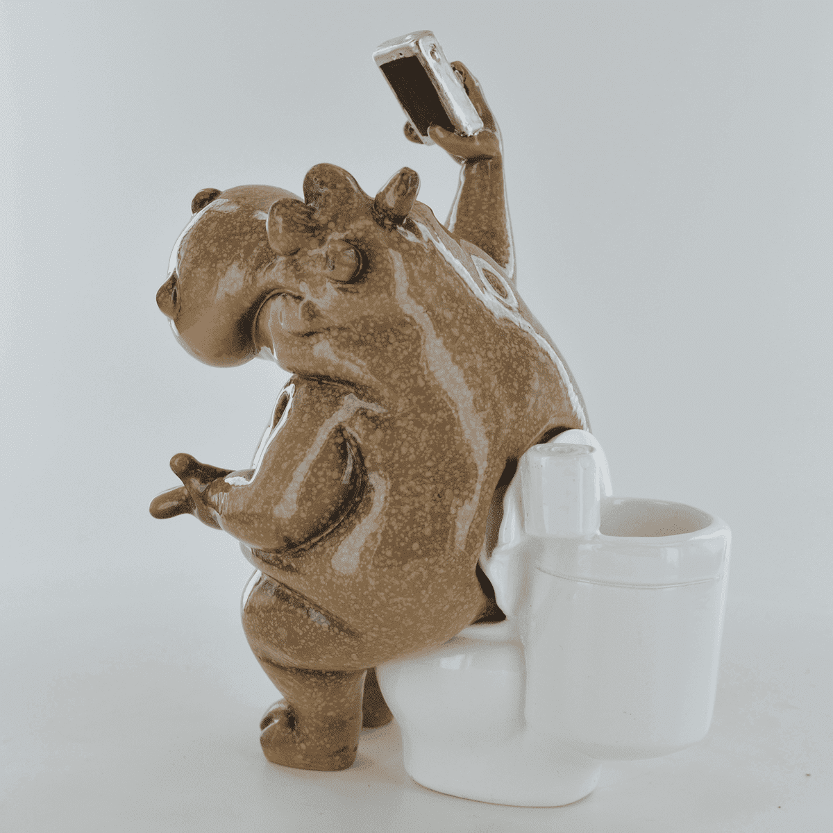 Comical Hippo on the Toilet Taking Selfie