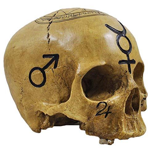 Skull Ornament With Black Witchcraft Symbols & Text Decoration