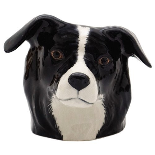 Border Collie Face Egg Cup