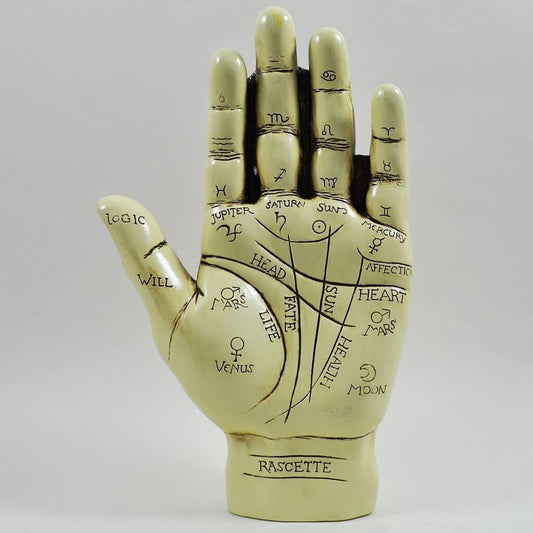 Palmistry Hand Ornament With Reading Instruction Booklet 19cm