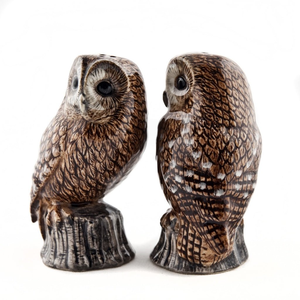 Tawny Owl Salt Pepper Shakers Quail Ceramics