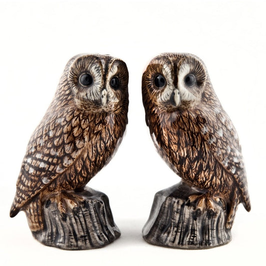 Tawny Owl Salt & Pepper Shakers